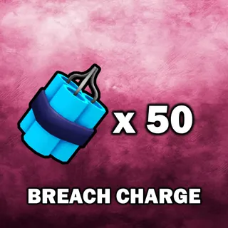 Breach Charge
