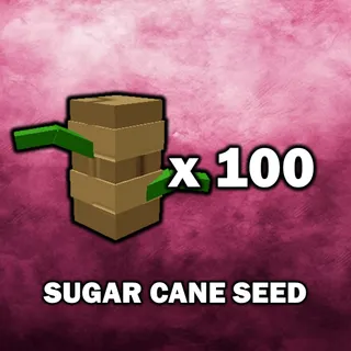Sugar Cane Seed