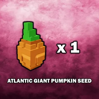 Atlantic Giant Pumpkin Seed