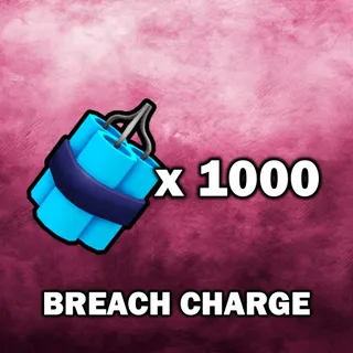 Breach Charge