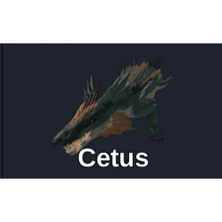 Cetus