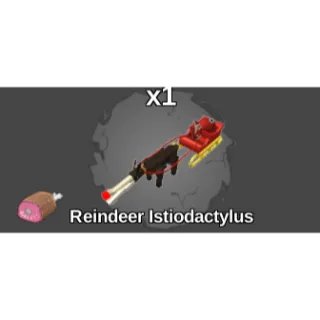 Reindeer Istio
