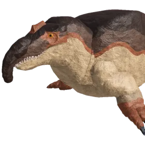 Spinofaarus