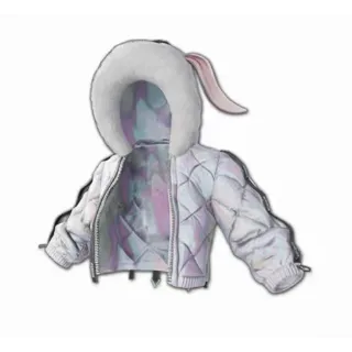 B.A.S.A. Bunny Jacket PUBG