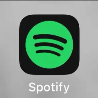 Spotify family premium 12 months and add you into the family premium with your account 