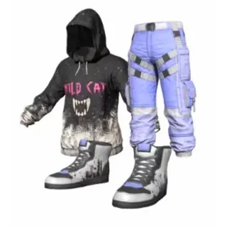 PUBG| WILD CAT SET|steam| pants  hoodie , shoes 