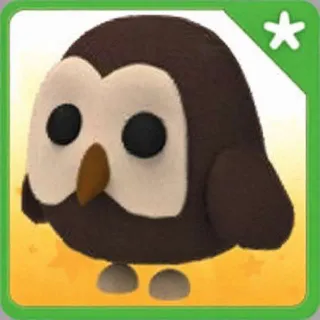 🦉 No-Pot Owl | Untouched & Extremely Rare! 🔥✨