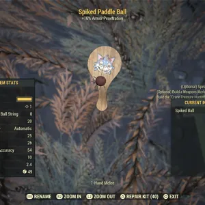 spiked paddle