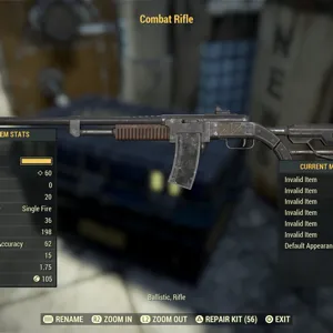 combat rifle nw