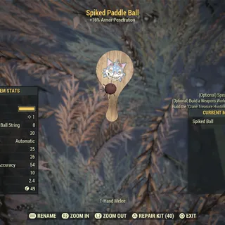 paddle spiked