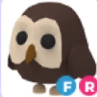 Owl
