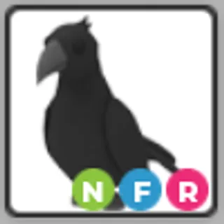 NFR Crow