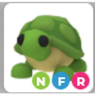 NFR Turtle