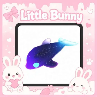 Adopt Me! - (NFR) Glormy Dolphin