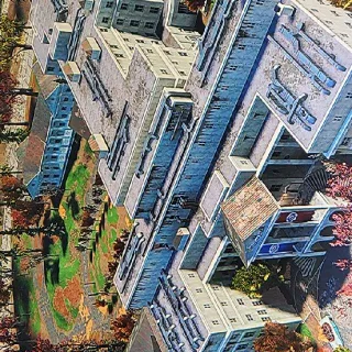 100 Canned Squirrel Stew