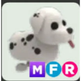 MFR Dalmatian