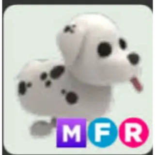 MFR Dalmatian