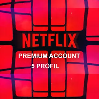 NETFLIX 1 YEAR