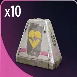 10*Looting Mk.3 SURVIVOR