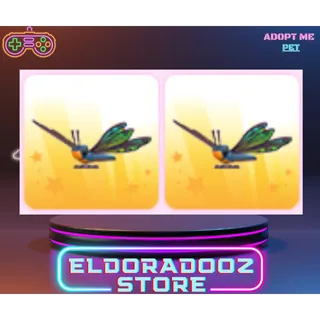 2x CLUBTAIL DRAGONFLY