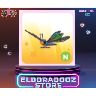 CLUBTAIL DRAGONFLY N NEON
