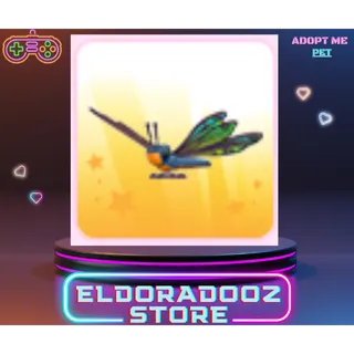 1x CLUBTAIL DRAGONFLY