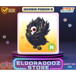 JACOBIN PIGEON N NEON