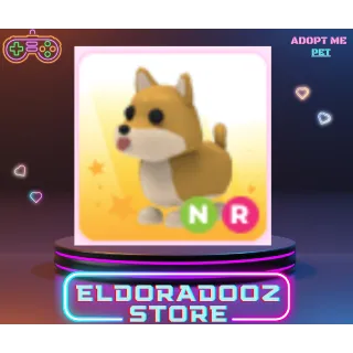 NR SHIBA INU