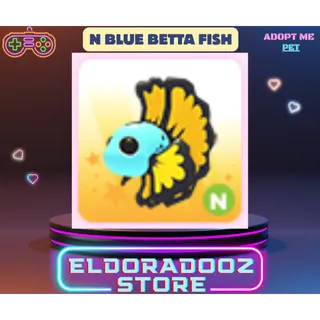 N NEON BLUE BETTA FISH