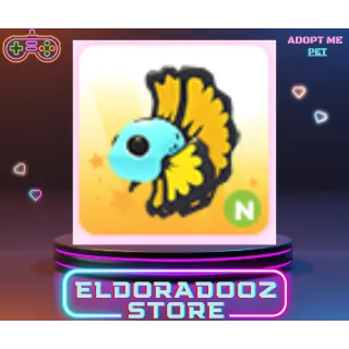 N NEON BLUE BETTA FISH