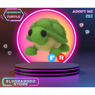 FR TURTLE