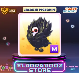 JACOBIN PIGEON M MEGA