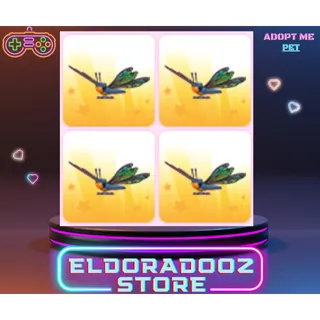 4x CLUBTAIL DRAGONFLY