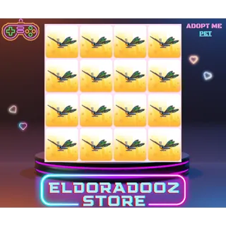 16x CLUBTAIL DRAGONFLY