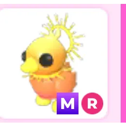 Sunrise duckling mega