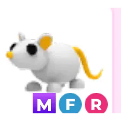 Mfr golden rat 