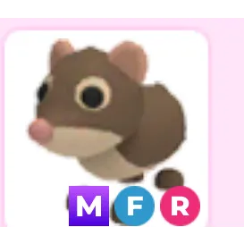 Mfr shrew 