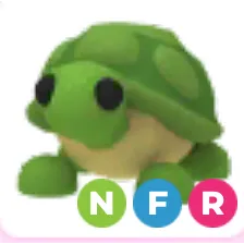 Nfr turtle bundle 