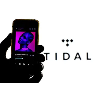 Tidal HiFi Plus 12 months 1 Year Premium Subscription