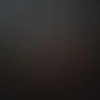 $250.00 USD Black Angus