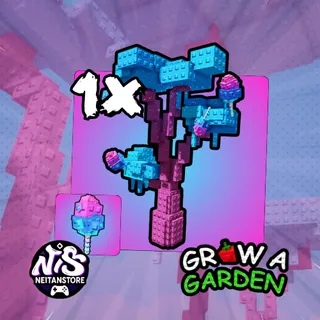 1x Elder Candy Blossom - Account | Grow a Garden 