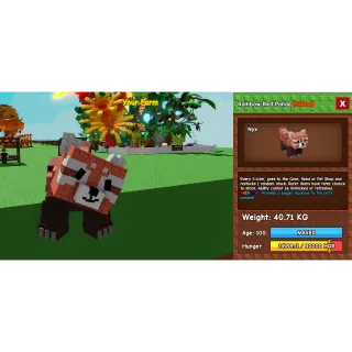 Rainbow Huge Red Panda