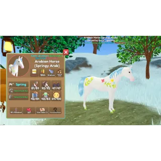 Wild Horse Islands / Spring Arab