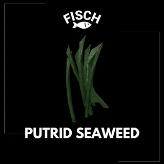 Putrid Seaweed - FISCH