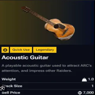 Acoustic Guitar