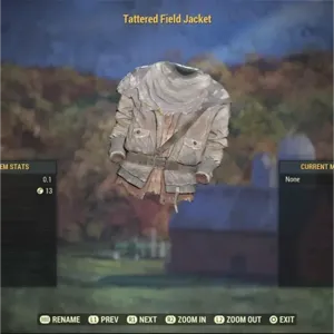 tattered field jacket