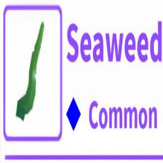 Seaweed (Old Food)