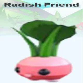 Radish Friend
