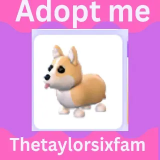 Corgi