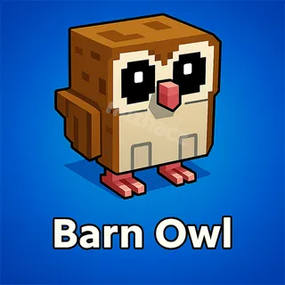 Barn Owl